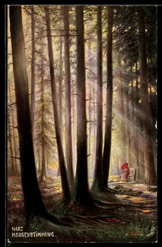 Künstler-AK Raphael Tuck & Sons Nr. 206 B: Harz, Morgenstimmung im Kalten Tal