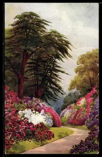 Künstler-AK Raphael Tuck & Sons Nr. 2389: Parkweg mit Blumen