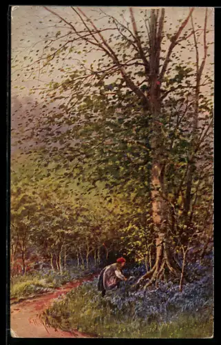 Künstler-AK Raphael Tuck & Sons Nr. 7992: Frau pflückt im Wald Blumen