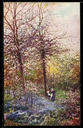 Künstler-AK Raphael Tuck & Sons Nr. 7985: Devon, Zwei Frauen im Wald