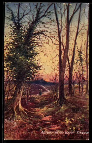 Künstler-AK Raphael Tuck & Sons: Picturesque Devon, Autum in the Woods