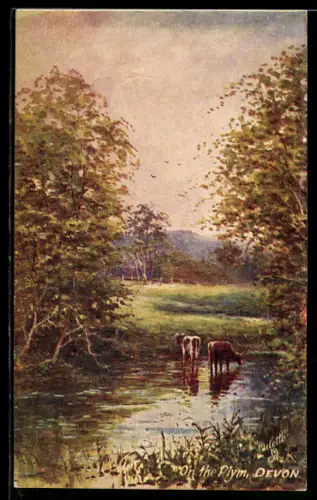 Künstler-AK Raphael Tuck & Sons Nr. 7841: Devon, Kühe am Teich