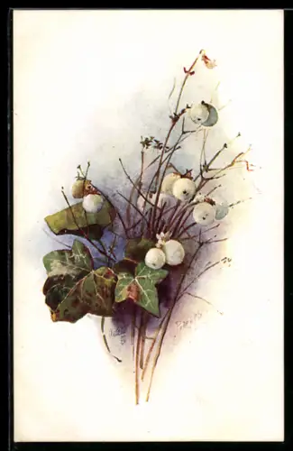 Künstler-AK Raphael Tuck & Sons Nr. 9959: Weisse Vogelbeeren