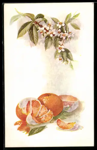 Künstler-AK Raphael Tuck & Sons Nr. 3253: Mandarinen mit Blüten