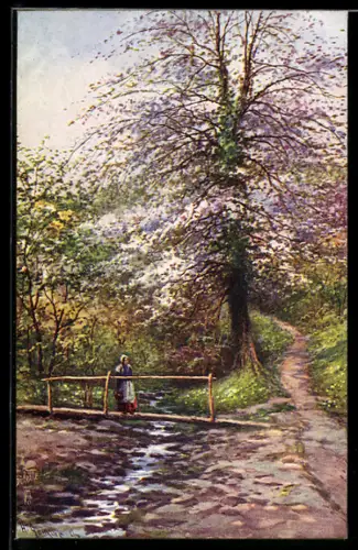 Künstler-AK Raphael Tuck & Sons Nr. 7985: Devon, Frau auf Brücke bei Baumblüte