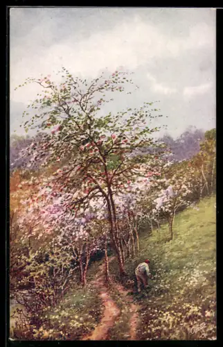 Künstler-AK Raphael Tuck & Sons Nr. 8936: Devon, Mann pflückt Blumen