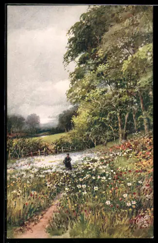 Künstler-AK Raphael Tuck & Sons Nr. 8936: Devon, Frau auf Blumenwiese