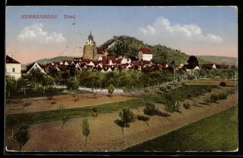 AK Herrenberg, Gesamtansicht der Stadt mit Schlossberg