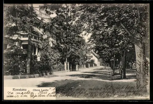 AK Konstanz, Obere Laube, Strassenansicht mit Bäumen