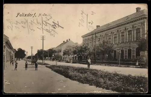 AK Felixdorf /N.-Oe., Strassenansicht mit Häusern und Baumreihe