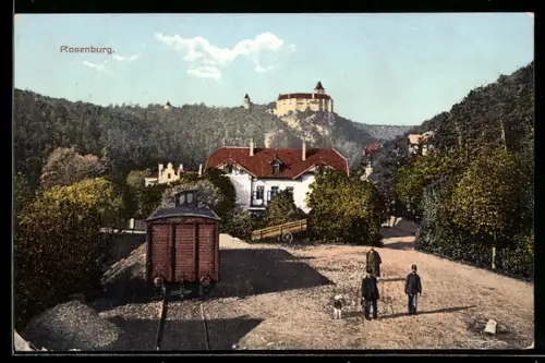 AK Rosenburg a. Kamp, Burg auf bewaldetem Hügel mit Dorfstrasse