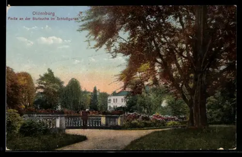 AK Oldenburg, Partie an der Blutbuche im Schlossgarten
