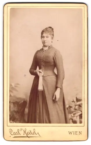 Fotografie Carl Heitel, Wien, Landstrasse Hauptstrasse 29, Dame in elegantem Kleid im Jahr 1890