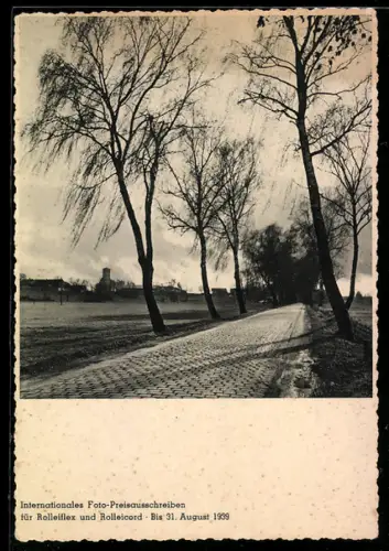 AK Bäume an einer Strasse, Internationales Foto-Preisausschreiben Rolleiflex und Rolleicord 1939