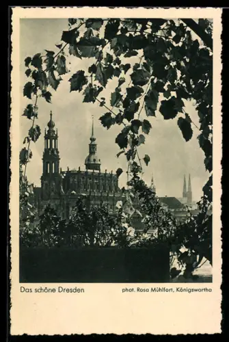 AK Dresden, Blick auf die Katholische Hofkirche