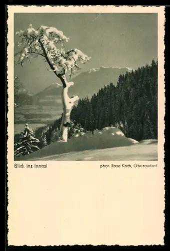 AK Blick ins Inntal, Fotoapparat Rolleiflex von Photo-Porst