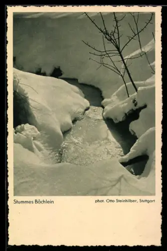 AK Stummes Bächlein im Winter, Fotoapparat Rolleiflex von Photo-Porst