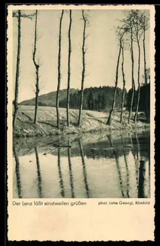 AK Uferlandschaft mit Bäumen, Zeiss-Ikon-Kamera Ideal