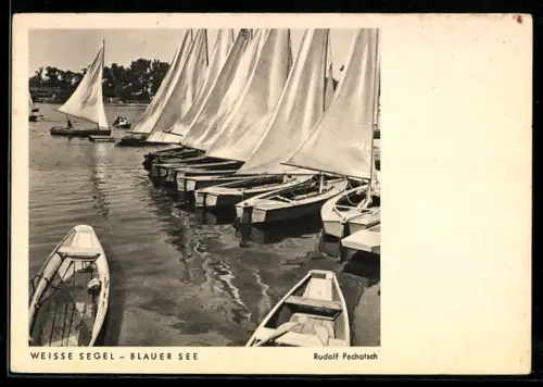 AK Weisse Segel, blauer See, Fotoapparat Isolette von Photo-Porst