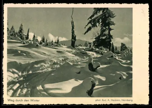 AK Weg durch den Winter, Fotoapparat von Photo-Porst