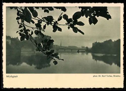 AK Uferlandschaft mit Brücke, Kamera Exakta, Xenar