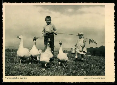 AK Kinderpaar mit Gänsen auf der Weide, Fotoapparat Elmar von Photo-Porst