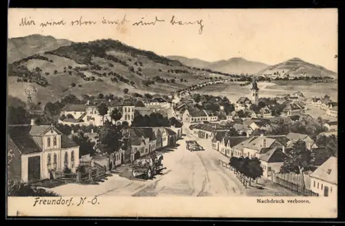AK Freundorf /N.-Ö., Panorama mit Strasse und Kirche