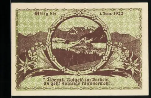 Notgeld Ruhpolding 1921, 30 Pfennig, Landschaftsansicht mit Bergen und Blumenornamenten