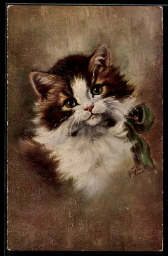 Künstler-AK Porträt einer Katze mit grüner Schleife