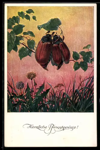 Künstler-AK Zwei Maikäfer auf einem Zweig, Pfingstgruss
