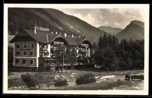 AK Steinach, Hotel Steinbacherhof am Bach, Bergpanorama