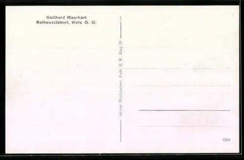 AK Wels /O.Ö., Gasthaus Rathausstüberl