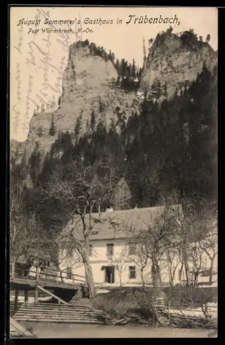 AK Trübenbach, August Sommerer`s Gasthaus