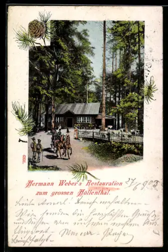 AK Schwarzau im Gebirge, Restaurant Höllenthal von Hermann Weber