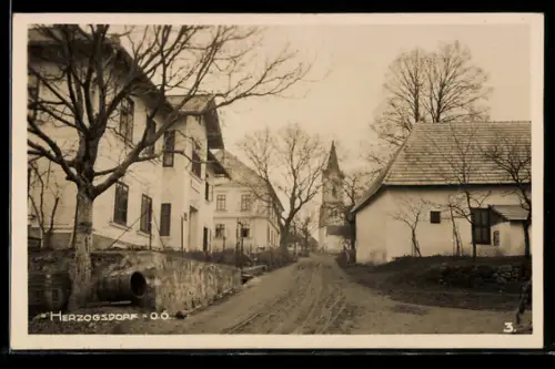 AK Herzogsdorf /O. Ö., Kirche mit Strassenpartie