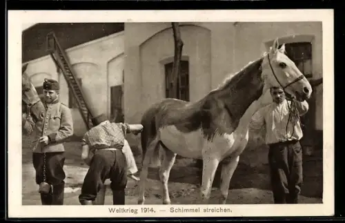 AK Kuriosa, Österreichische Soldaten beim Bemalen eines Schimmels zur Tarnung