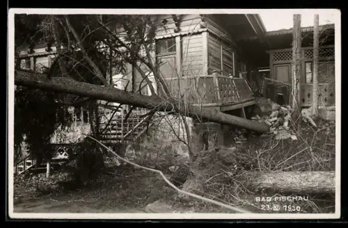 AK Bad Fischau, Umgestürzte Bäume und beschädigtes Haus nach dem Unwetter 1930