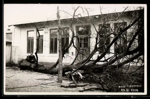 AK Bad Fischau, Umgestürzte Bäume nach dem Unwetter 1930