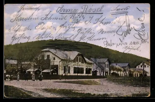 AK Weidlingau, Josef Mühlndorfer`s Gasthaus am Mühlberg