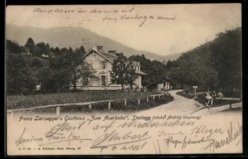 AK Stattegg, Franz Larisegger`s Gasthaus Zum Auerhahn mit Gartenanlage