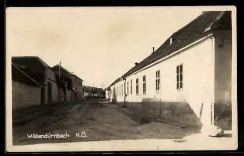 AK Wildendürnbach /N.Ö., Ortspartie mit Wohnhäusern