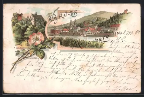 Lithographie Miltenberg a. M., Ortspanorama vom Wasser aus, Mildenburg, Rose