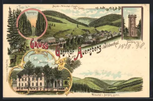 Lithographie Wildenthal, Hotel Drechsler, Thurm v. Auersberg, Zigeunergrund, Hirsche, 6 gerahmte Ansichten