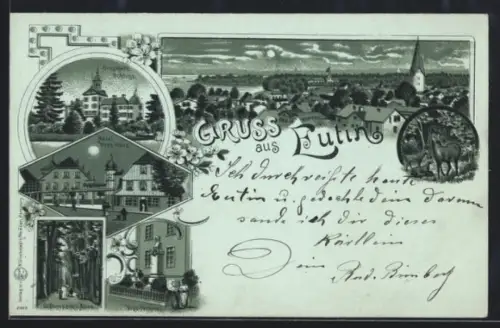 Mondschein-Lithographie Eutin, Hotel Voss-Haus, Herzogl. Schloss, Voss-Denkmal