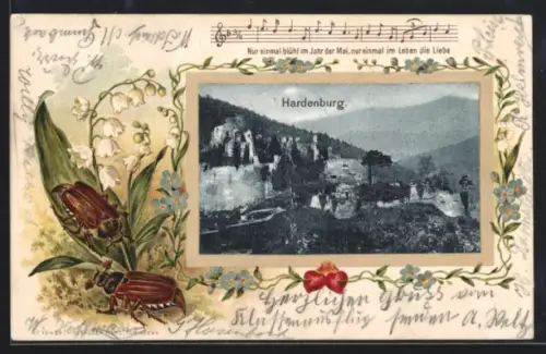 Passepartout-Lithographie Hardenburg, Ruine im Passepartout mit Maikäfer