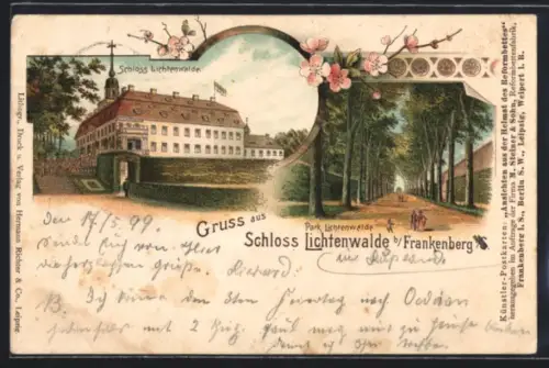 Lithographie Frankenberg /Sa., Schloss und Parkallee Lichtenwalde
