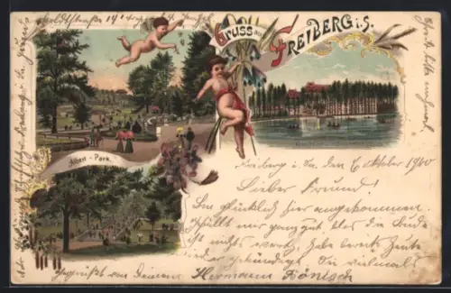 Lithographie Freiberg, Kreuzteich mit Schwanenschlösschen, Albert-Park