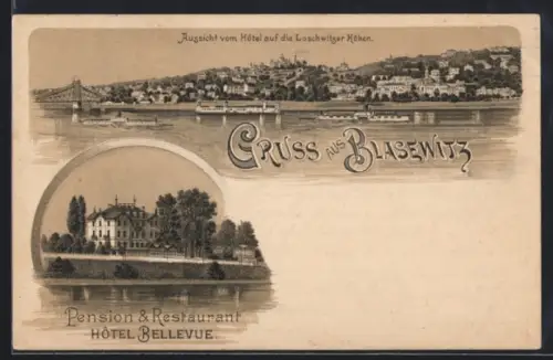 Lithographie Dresden-Blasewitz, Pension Restaurant Hotel Bellevue, Aussicht vom Hotel auf die Loschwitzer Höhen, Dampfer