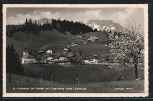 AK St. Kolomann bei Hallein, Ortsansicht mit Untersberg