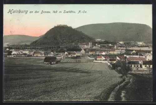 AK Hainburg an der Donau, Panorama mit Burg und Ort